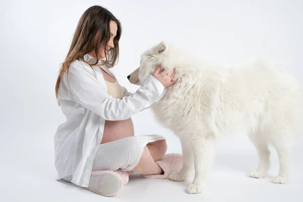 Jeune femme enceinte brune en chemise blanche assise sur le sol et touchant chien samoyed, fond blanc — Photo