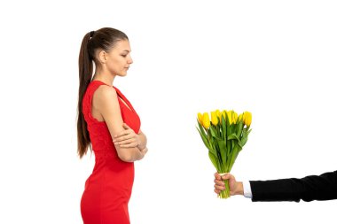 Confident beautiful serious brunette girl in red dress stands with crosed hands and looking at yellow tulips in male hand isolated over white background. St. Valentines day, Womans day