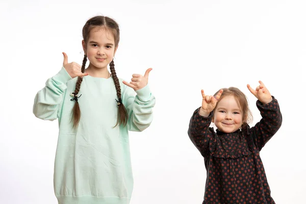 Funny little sisters in casual clothes isolated background shouting with crazy expression doing rock symbol with hands up. Music star. — Stockfoto