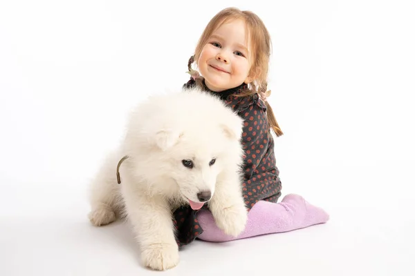 Маленькая милая девочка с рыжими волосами, одетая в темное платье играет с маленьким самодовольным щенком, ребенок смотрит на камеру изолированы на белом фоне — стоковое фото