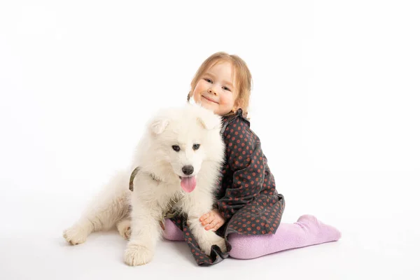 Cute pretty little girl in dress sitting on the ground with white samoyed puppy and looking at the camera