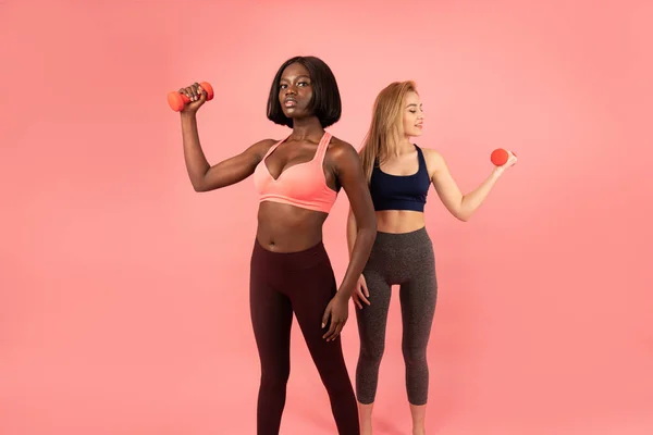 Дві міжнародні стрункі дівчата в спортивному одязі стоять одна за одною, африканські та європейські жінки тримають гантелі в руках і показують свої біцепси, ізольовані на рожевому тлі — стокове фото