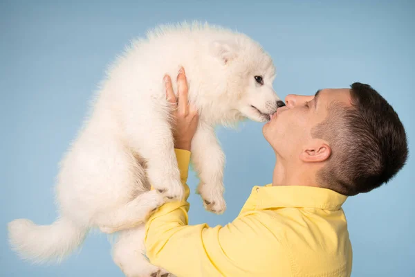 Vita fino ritratto di un bel giovane uomo in camicia gialla tiene cucciolo samoyed nelle sue mani e lo bacia — Foto Stock