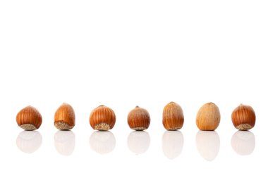 Beyaz arka planda izole edilmiş aynı pozisyonlarda kabuklu fındık koleksiyonu