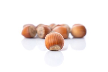 Fındık tepeciğine yakın çekim, fındık ağacının meyvesi, Corylus avellana