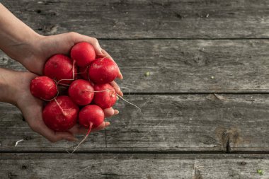 Ahşap bir arka planda izole edilmiş taze turp dolu avuçlar.