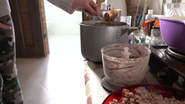 Ung hona kastar kött från en kastrull i en mixer — Stockvideo