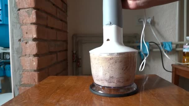 Retrato de mãe ou filha preparando comida, prato usando liquidificador na cozinha — Vídeo de Stock