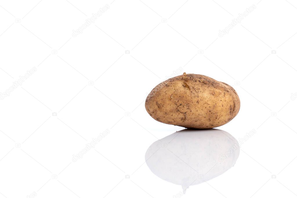 Unpeeled raw fresh potato, isolated on white background
