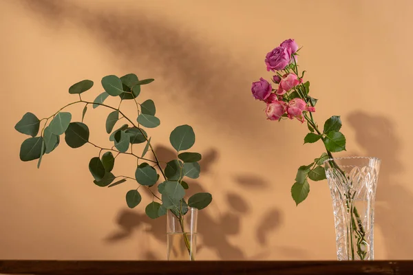 Branche d'une rose floribunda parfois appelée R. polyantha et Eucalyptus dans des vases — Photo