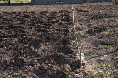 Patateslerin ekildiği bir tarlanın yakınında.