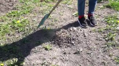 Modern kız bir arazi üzerinde tırmıkla çalışır.