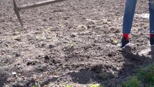 Женщина вспахивает почву, чтобы посадить семена - весенняя сцена сада — стоковое видео