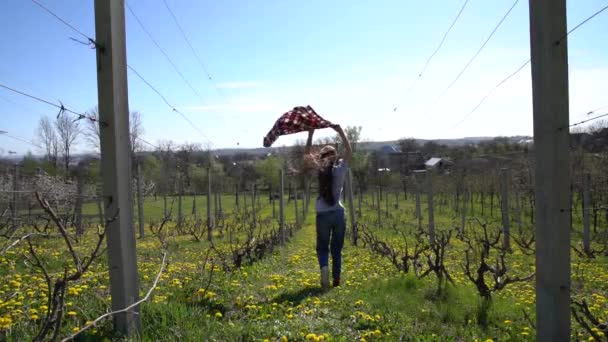 Lekfull brunett flicka håller en skjorta som fladdrar i vinden under huvudet och kör längs vingården — Stockvideo