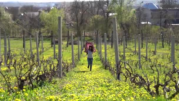 Happy brunetka dziewczyna trzyma koszulę, która trzepocze na wietrze pod jej głową i biegnie do kamery wzdłuż winnicy — Wideo stockowe