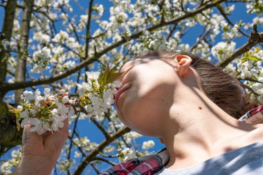Genç esmer kız çiçek açan dalı tutuyor ve kokluyor.