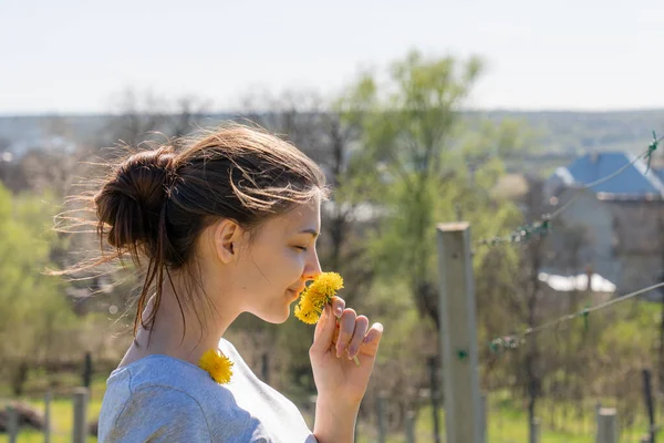 Cute girl sniffs yellow dandelions. Bouquet of yellow dandelions in the hands of a young woman — Stock Photo, Image