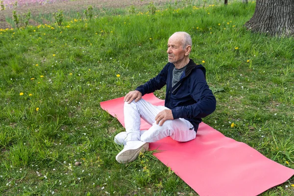 Vecchi che praticano in uno yoga all'aperto nel parco sul tappetino yoga — Foto Stock