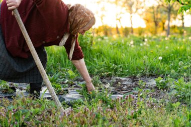 Bahçede çapayla çalışan sıradan giysili yaşlı kadın.
