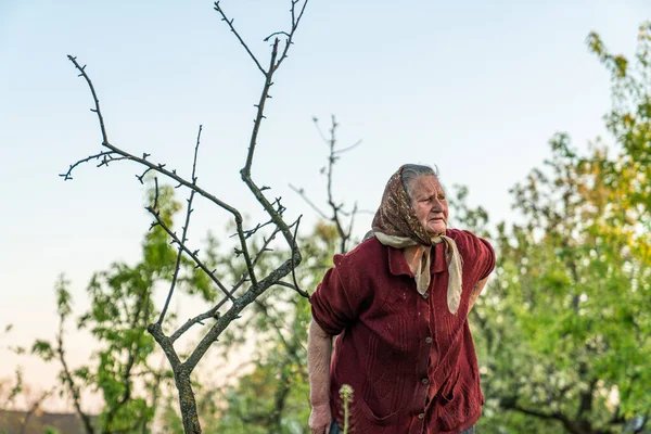 Уставшая старуха в красном свитере стоит рядом с высушенным деревом — стоковое фото