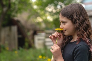 Siyah gömlekli, sarı karahindiba kokan çekici esmer kızın yan görünüm portresi