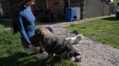 Gözlüklü genç esmer kız bir köpeğe pençe vermeyi öğretiyor.