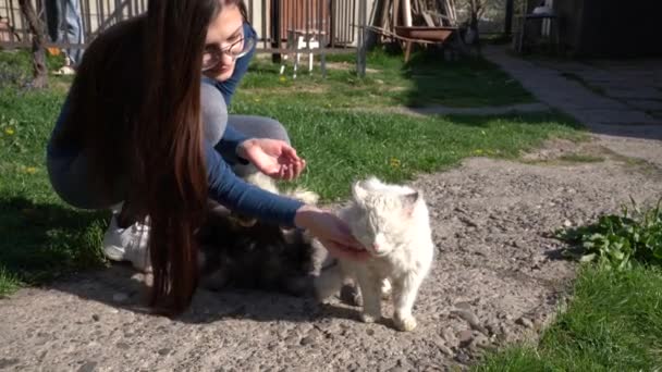 Χαριτωμένη μελαχρινή κοπέλα χαϊδεύοντας μια λευκή γάτα εξωτερική και χαμογελώντας — Αρχείο Βίντεο