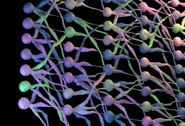 Rede neuronal colorida. Rede de neurónios. Ilustração 3D . — Fotografia de Stock
