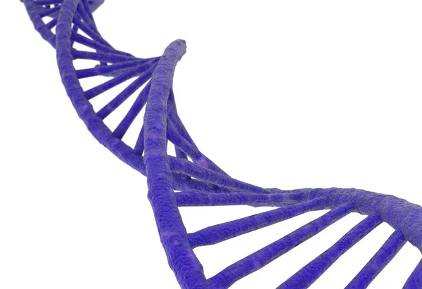 Dna Molekülstruktur isoliert in weiß. 3D-Illustration — Stockfoto