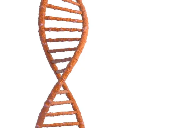 Estrutura molecular de DNA isolada em branco. ilustração 3d — Fotografia de Stock