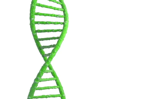 Dna Molekülstruktur isoliert in weiß. 3D-Illustration — Stockfoto