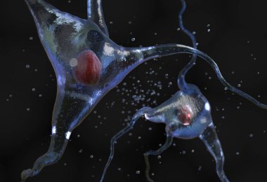 İnsan sinir hücresi çizimi