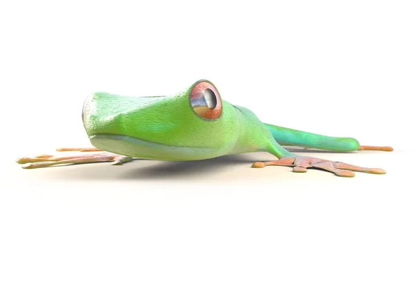 Red eyed tree frog from tropical rainforest of Costa Rica isolated on white. Agalychnis callidrias. 3d illustration — Stock Photo, Image