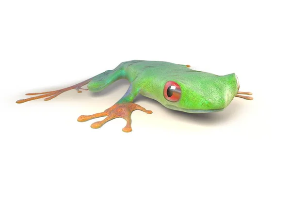 红眼树蛙从哥斯大黎加上白色孤立热带雨林。红眼 callidrias。3d 图 — 图库照片