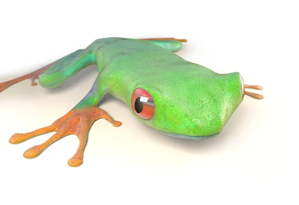 Červená žába z tropických deštných pralesů Kostariky izolované na bílém. Listovnice callidrias. 3D obrázek — Stock fotografie