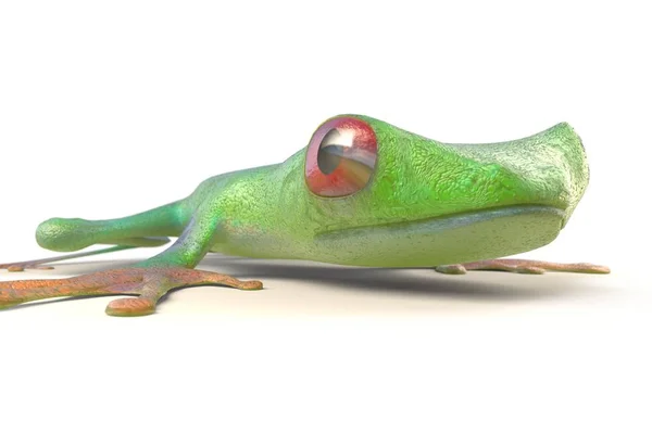 Red eyed tree frog from tropical rainforest of Costa Rica isolated on white. Agalychnis callidrias. 3d illustration — Stock Photo, Image