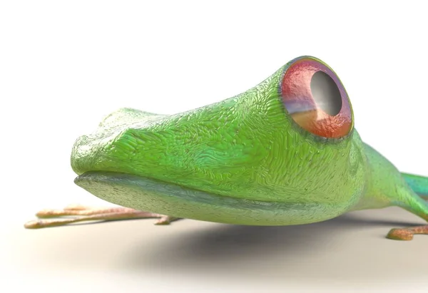 Czerwony eyed tree frog od równikowy Kostaryka na białym tle. Płaz callidrias. ilustracja 3D — Zdjęcie stockowe