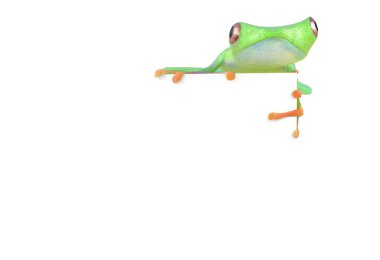 Boş beyaz işareti 3d resimde sittin yeşil kırmızı göz kurbağa