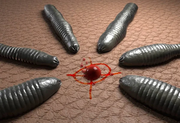 Leech worms target on blood drop on human skin 3d illustration — Stock Photo, Image