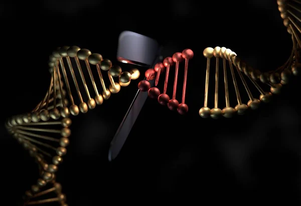 DNA cortar a parte com uma tesoura 3d ilustração — Fotografia de Stock