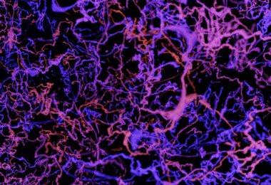 kan veya nöron sistem kırmızı ve mavi 3d çizim bağlar