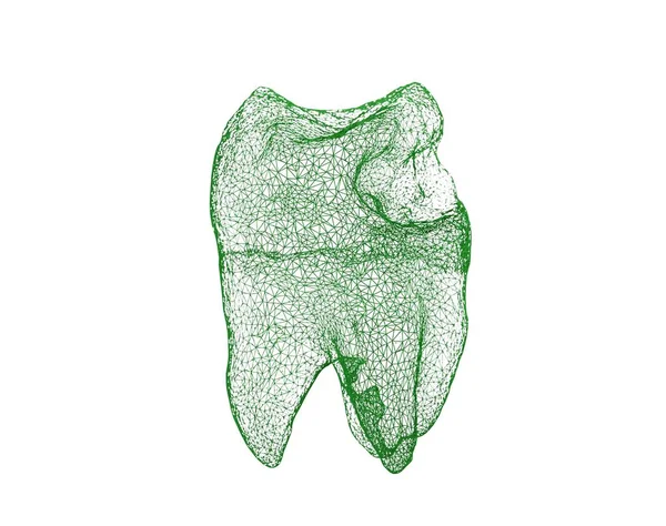 Diş tel kafes diş üzerinde beyaz 3d illüstrasyon izole — Stok fotoğraf