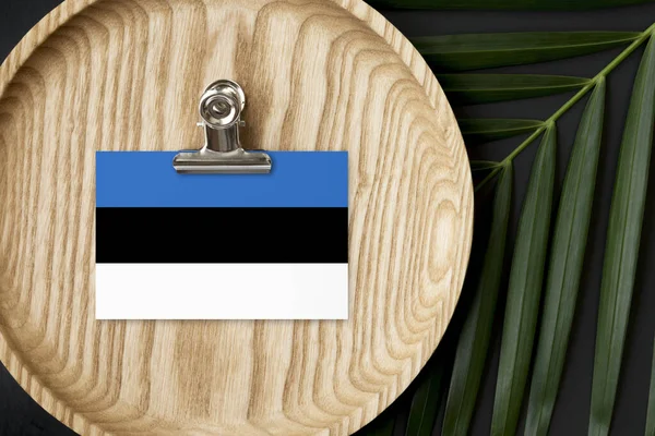 Drapeau Estonien Marqué Sur Une Plaque Bois Feuilles Palmier Tropical — Photo