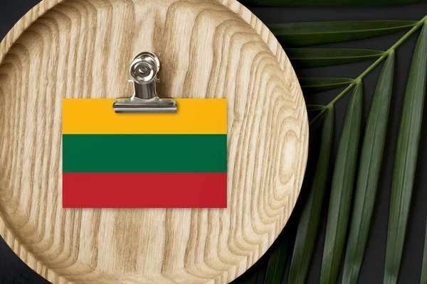 Bandera Lituania Etiquetada Placa Madera Palma Tropical Deja Monstera Fondo — Foto de Stock