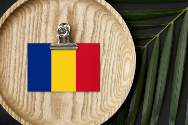 Romaniansk Flagg Merket Treplate Tropiske Palmeblader Bakgrunnen Minste Nasjonale Begrep – stockfoto