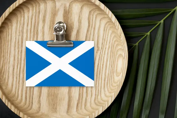 Bandera Escocia Etiquetada Placa Madera Palma Tropical Deja Monstera Fondo — Foto de Stock