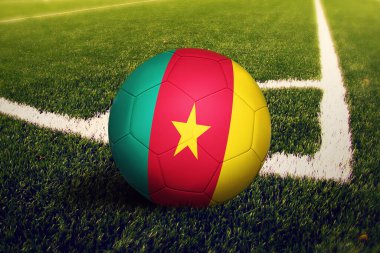 Köşedeki sahada futbol sahasında kamerun bayrağı var. Ulusal futbol teması yeşil çimlerde.