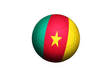 Köşedeki sahada futbol sahasında kamerun bayrağı var. Ulusal futbol teması yeşil çimlerde.