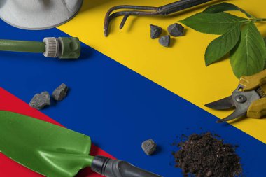 Arka planda bahçe aletleri olan Kolombiya bayrağı. Bedava fotokopi alanı ile bahçe konseptine bahar.