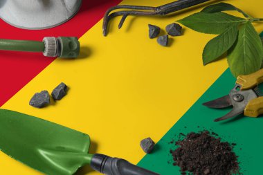 Arka planda bahçe aletleri olan Gine Bissau bayrağı. Bedava fotokopi alanı ile bahçe konseptine bahar.